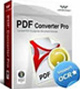 pdf converter pro