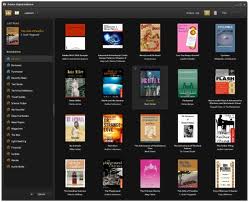 epub format reader
